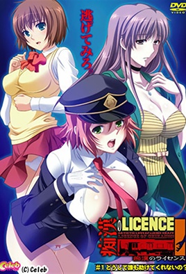 Cover for Chikan no Licence