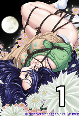Cover for Gekka Bijin