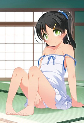 Cover for Ichinen Buri No The Animation