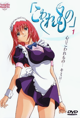 Cover for Kowaremono