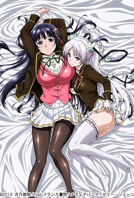 Cover for Ojou-sama Yomeiri Kousou!