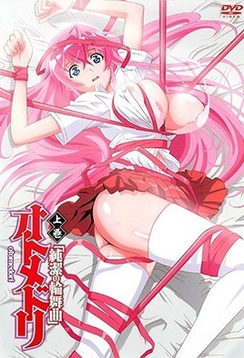 Cover for Otome Dori