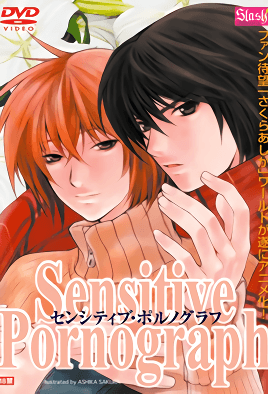 Cover for Sensitive Pornograph