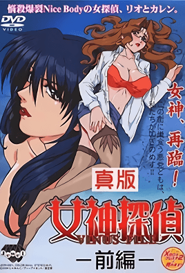 Cover for Shin Ban Megami Tantei Vinus File
