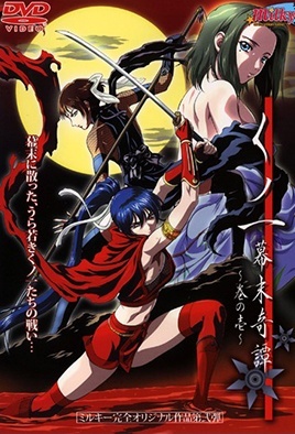 Cover for The Last Kunoichi